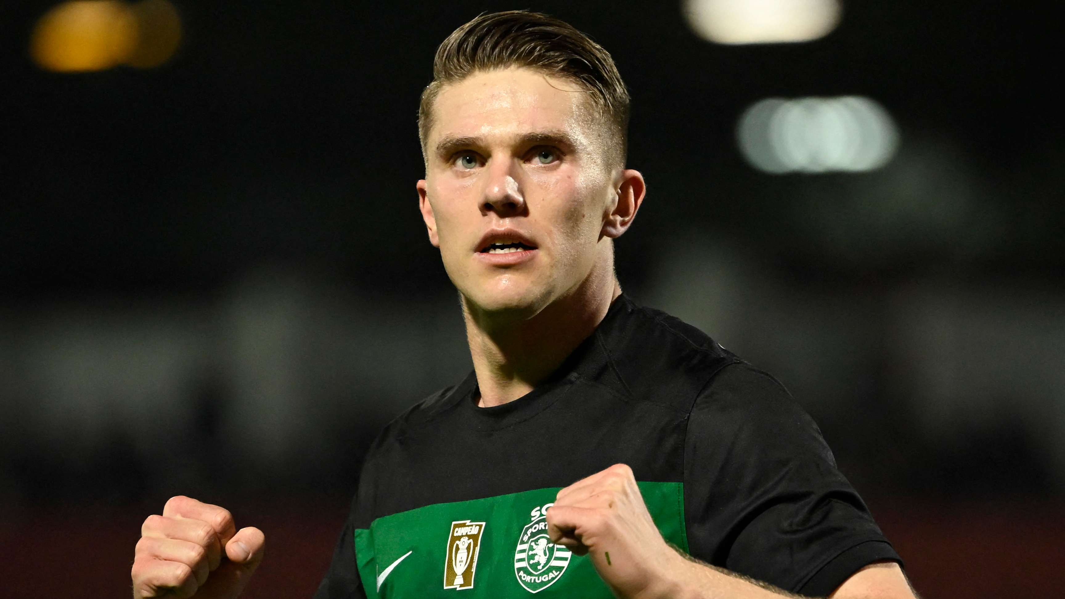 尤其是在主 尤其是在主