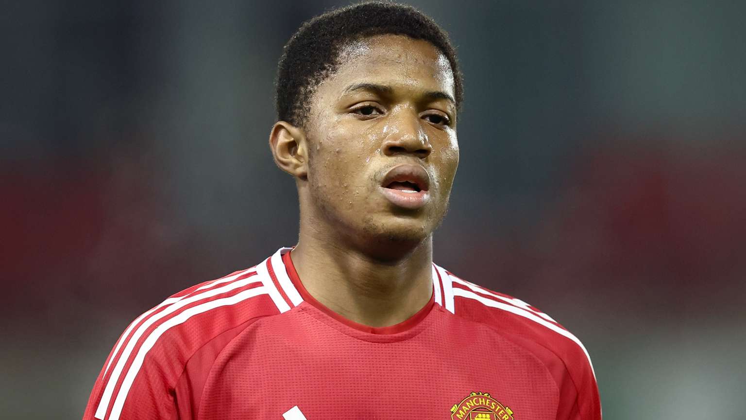 西球星罗比 西球星罗比